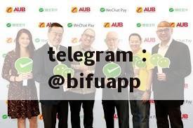 Bifupay: Reshaping the trust and security of third-party payment in the Philippines