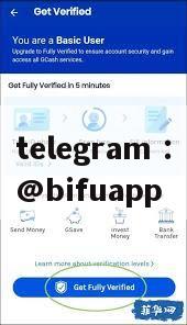 Bifupay: Reshaping the third-party payment experience in the Philippines and leading a new era of co