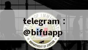 BifuPay: The innovative force in the third-party payment industry in the Philippines